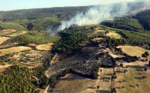 BERGAMA-POYRACIK'TA ORMAN YANGINI!