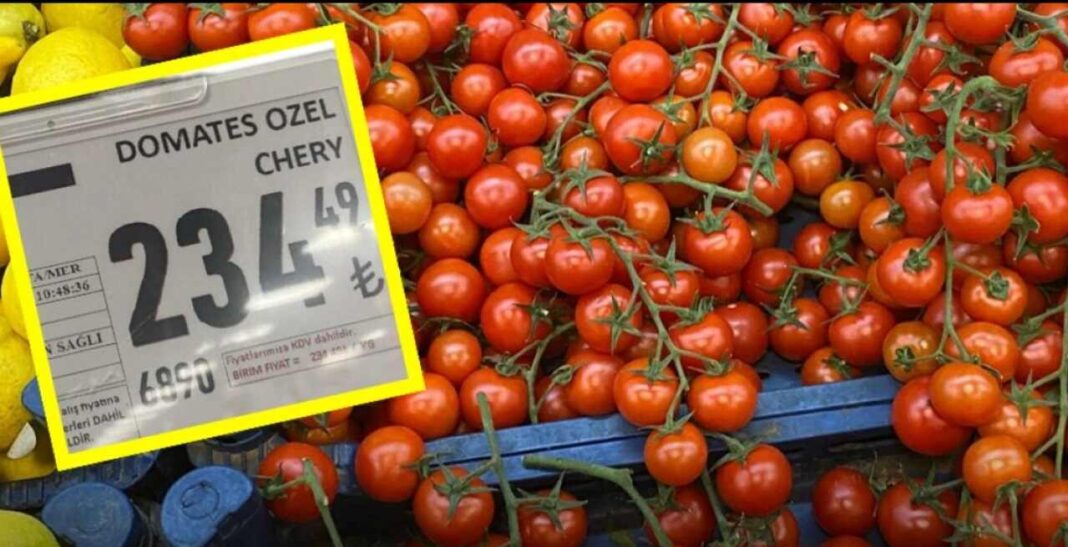 DOMATESİN FİYATI SON 20 GÜNDE 3’E KATLANDI!… DOMATESİN FİYATI SON 20 GÜNDE 3’E KATLANDI!…