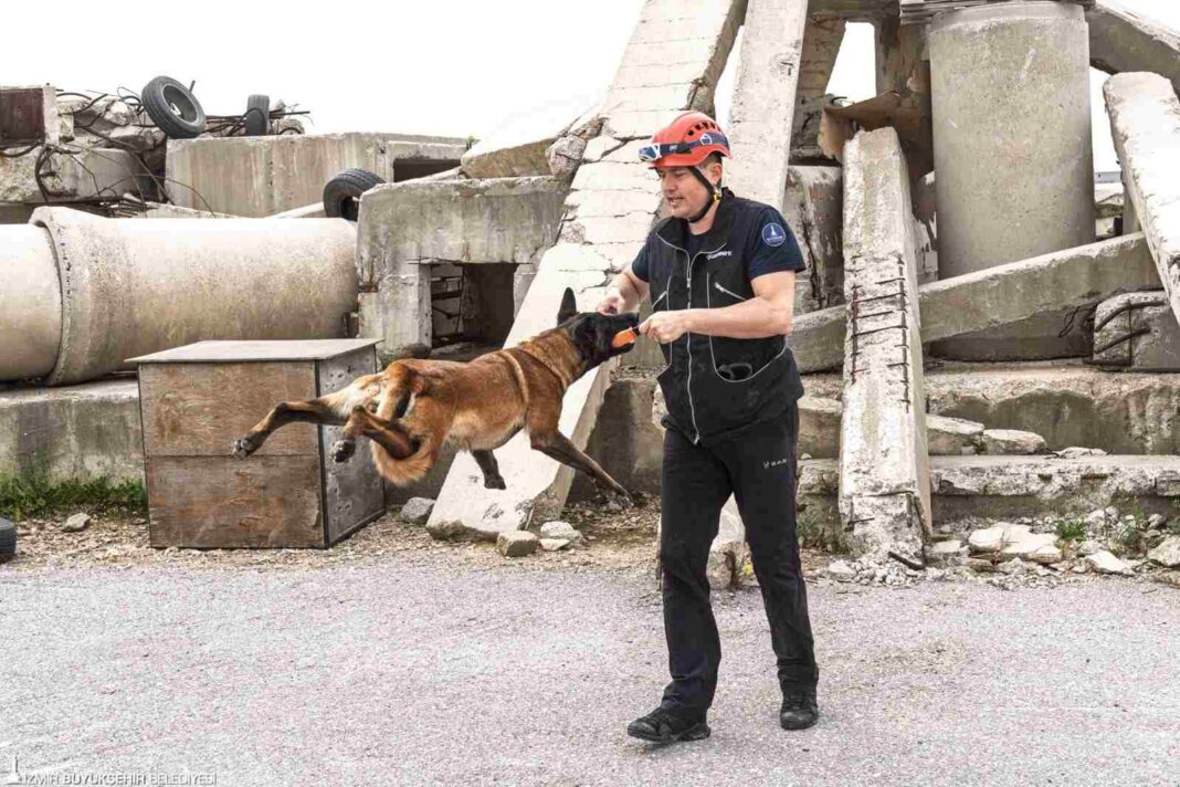 BÜYÜKŞEHİR İTFAİYESİNİN K9 KÖPEĞİ MOMO ENKAZ İÇİN EĞİTİLİYOR… BÜYÜKŞEHİR İTFAİYESİNİN K9 KÖPEĞİ MOMO ENKAZ İÇİN EĞİTİLİYOR…