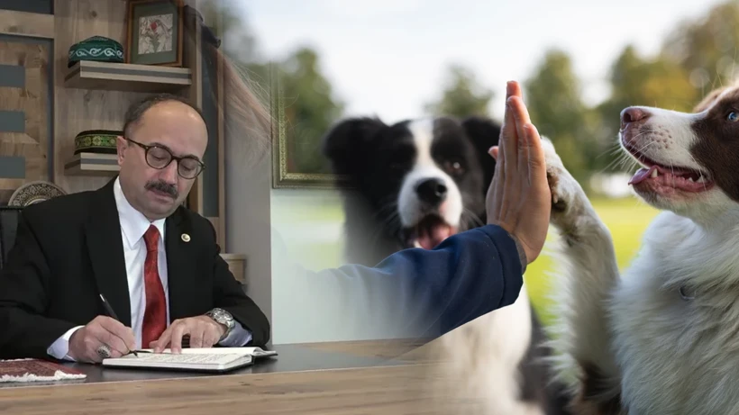 AKP’Lİ VEKİLDEN HAYVANSEVERLERE AĞIR HAKARET: “MAMA LOBİSİ DEĞİL, KÖPEKÇİ TERÖRÜ!…” AKP’Lİ VEKİLDEN HAYVANSEVERLERE AĞIR HAKARET: “MAMA LOBİSİ DEĞİL, KÖPEKÇİ TERÖRÜ!…”