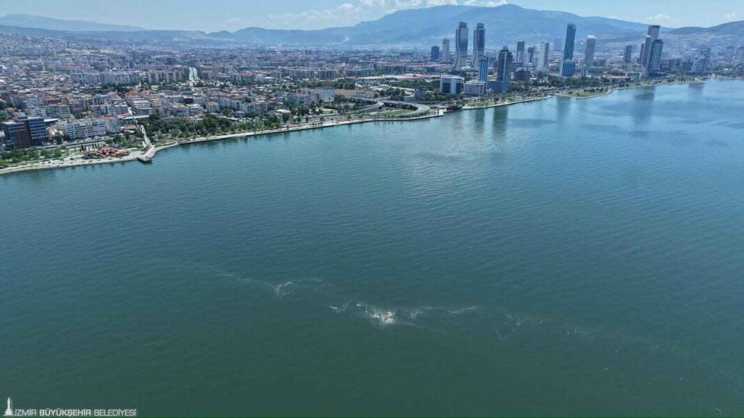 İzmir Körfezi’nde 14’üncü Kez Kirlilik Tespit Edildi… İzmir Körfezi’nde 14’üncü Kez Kirlilik Tespit Edildi…