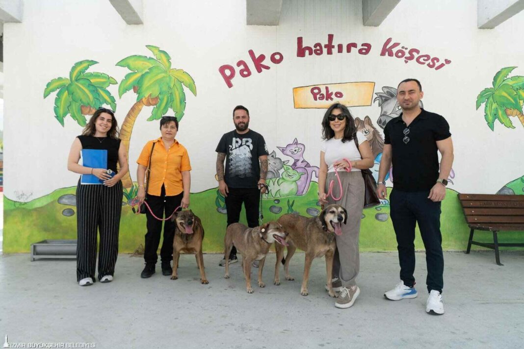 “Patili Dostlar İş Başında…” “Patili Dostlar İş Başında…”