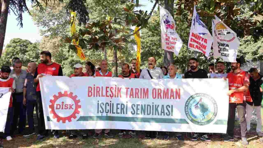 AĞAÇ A.Ş İŞÇİLERİ AÇLIK GREVİNE ARA VERDİ… AĞAÇ A.Ş İŞÇİLERİ AÇLIK GREVİNE ARA VERDİ…