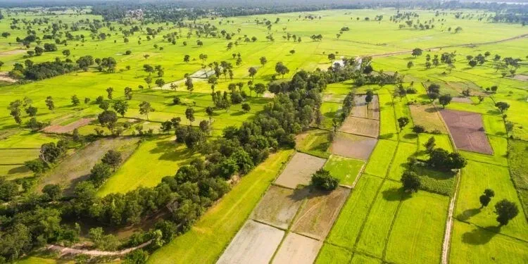 ARALARINDA İZMİR’İNDE BULUNDUĞU 30 İL DE 300 BİN LİRA’YA ARSA SATIŞI BAŞLADI… ARALARINDA İZMİR’İNDE BULUNDUĞU 30 İL DE 300 BİN LİRA’YA ARSA SATIŞI BAŞLADI…