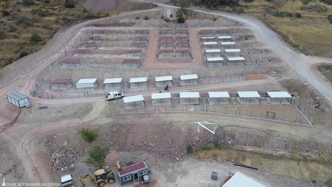 Dikili’ye Tam Teşekküllü Sokak Hayvanları Kampüsü… Dikili’ye Tam Teşekküllü Sokak Hayvanları Kampüsü…