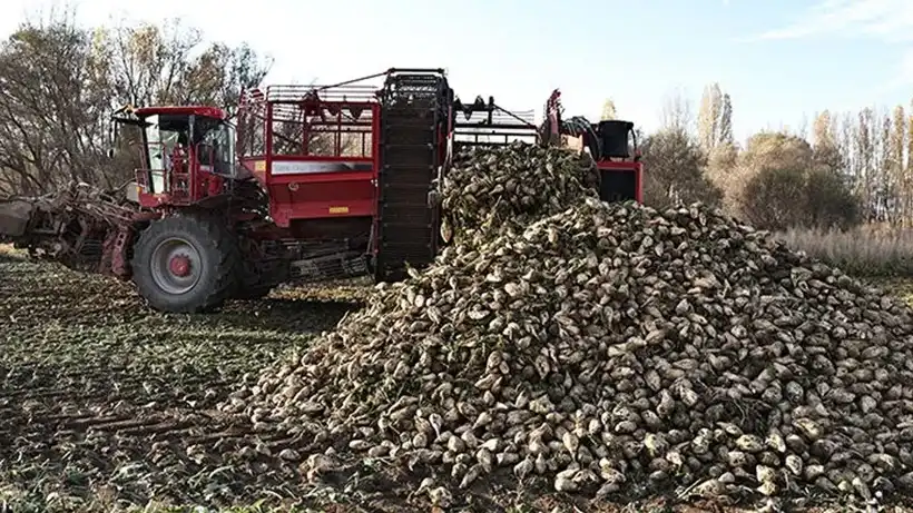 ŞEKER PANCARI ALIM FİYATI TON BAŞINA 3 BİN 720 LİRA OLARAK BELİRLENDİ… ŞEKER PANCARI ALIM FİYATI TON BAŞINA 3 BİN 720 LİRA OLARAK BELİRLENDİ…